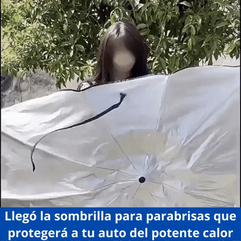 Demostración del producto